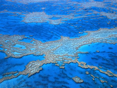 Tourism: The Great Barrier Reef Australia