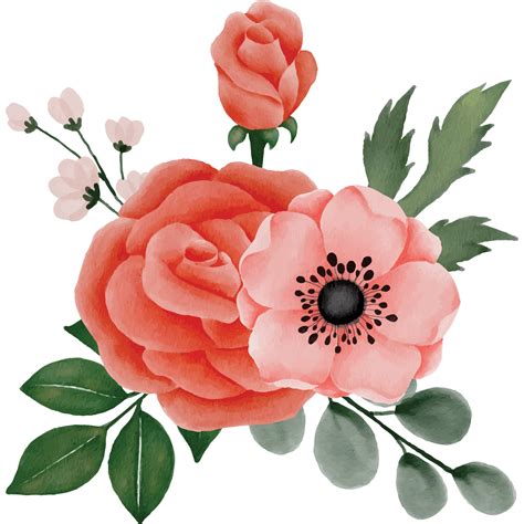 Rose With Peony Flower Bouquet Clip art Element Transparent Background ...