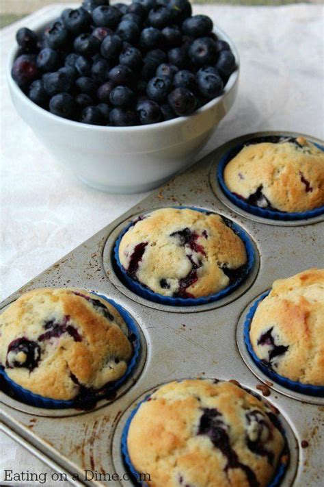 17 Breakfast Muffin Recipes for Easier Mornings - An Unblurred Lady