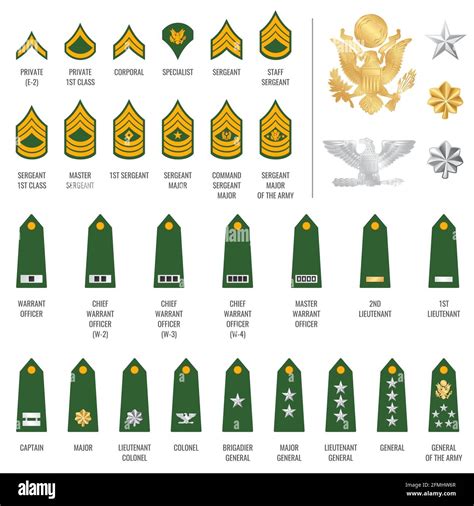 Major Rank Insignia