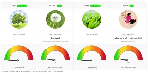 Flower Mound Allergy Count | Best Flower Site