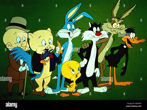 THE BUGS BUNNY AND TWEETY SHOW, Elmer Fudd, Road Runner, Porky Pig ...