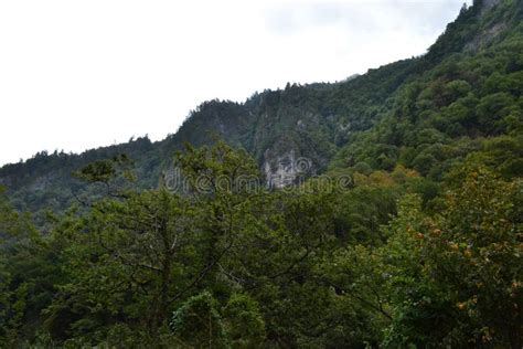 Abkhazia. Beautiful nature stock photo. Image of fabulous - 191717616