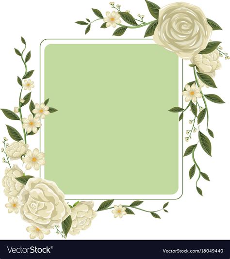 Border template with white roses Royalty Free Vector Image