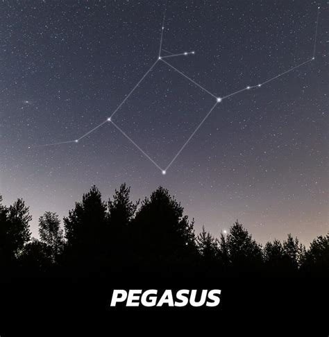 Pegasus Constellation | Pictures, Location and Origins