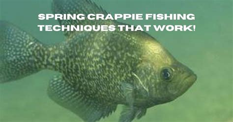 Spring Crappie Fishing Techniques | Surefire Tips