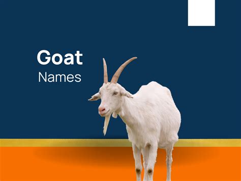 1230+ Goat Names That Capture Their Unique Traits! (+Generator)