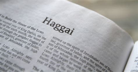 Haggai - Bible Book Chapters and Summary - New International Version