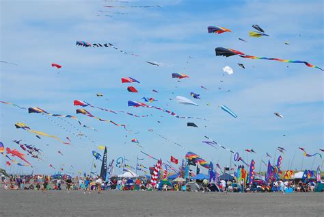 The Kite- Flying Festival, Blog - Ohana International School