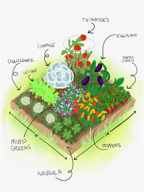 Vegetable Garden Layout