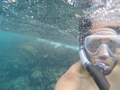 Ultimate Guide to Snorkeling on Kauai