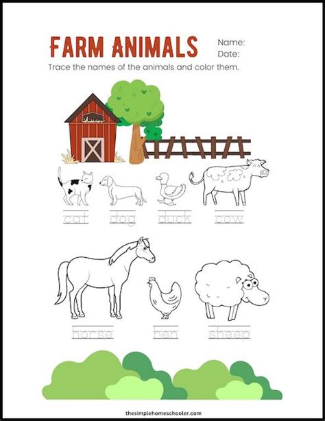 Farm Animals Picture Tracing & Coloring Fine Motor Worksheets ...