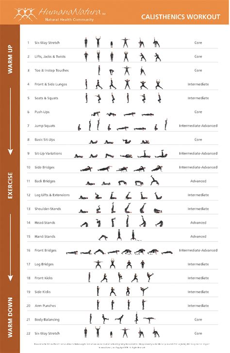 Calisthenics Workout Plan For Beginners Pdf | EOUA Blog