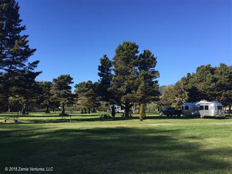 Redwoods Campsite – Zamia Ventures