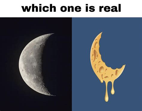 moon cheese : r/AlfaOxtrot