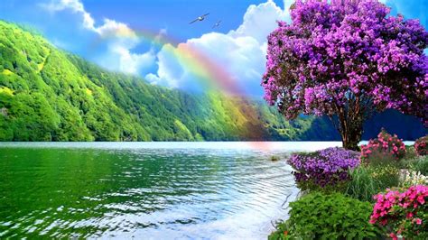 Rainbow Nature - 1280x720 - Download HD Wallpaper - WallpaperTip