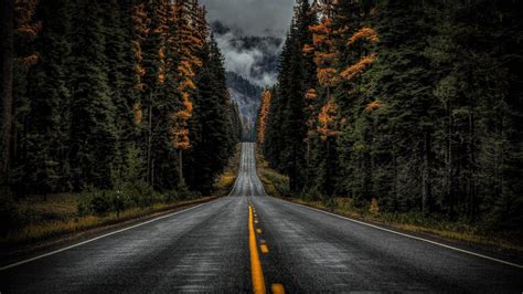 Rain Forest Road Wallpapers - Wallpaper Cave