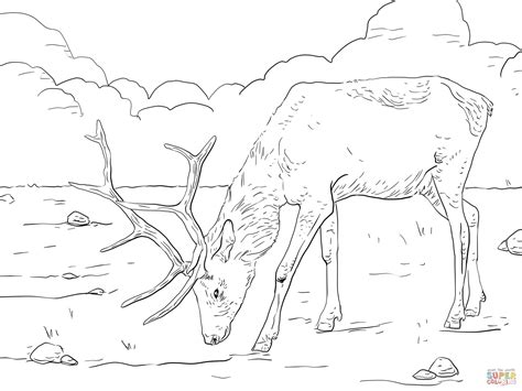 Elk Outline Page Coloring Pages