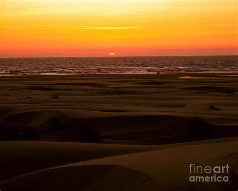 Oregon - Florence Sand Dunes Sunset Photograph by Terry Elniski