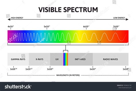 574 Visible Light Spectrum Wavelength Frequency Images, Stock Photos ...