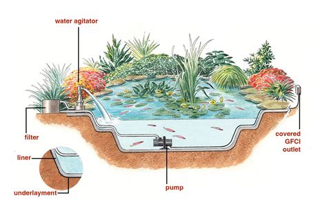 How To Make A Koi Pond | atelier-yuwa.ciao.jp