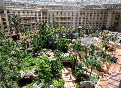 6 Things To Do At Gaylord Palms Orlando Resort