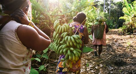 Indigenous Women: Keepers of the Amazon Rainforest