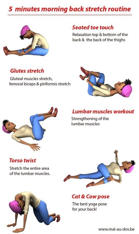 Lower Back Muscles List - An easy way to learn upper limb muscles ...