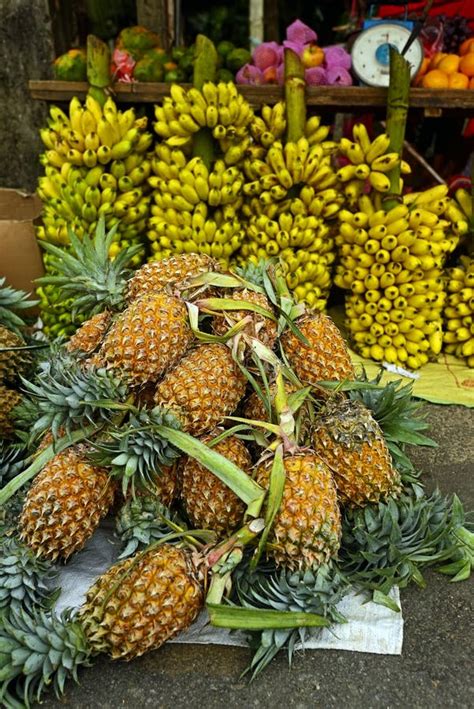 Various Fruits at Local Market in Sri Lanka Stock Image - Image of ...