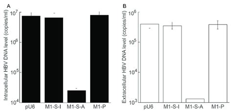 Inhibition of HBV intracellular DNA replication and virus production in ...