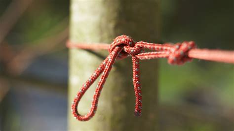 The best knots for camping and hiking: for rigging shelters, repairs ...