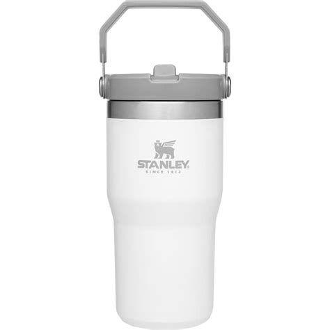 Stanley IceFlow Flip Straw 20oz Tumbler | Backcountry.com