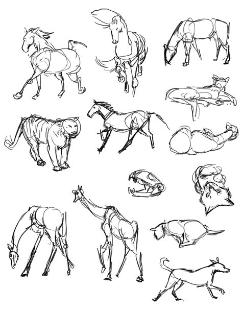 casey hunt: Gesture Drawing Tool | Animals!