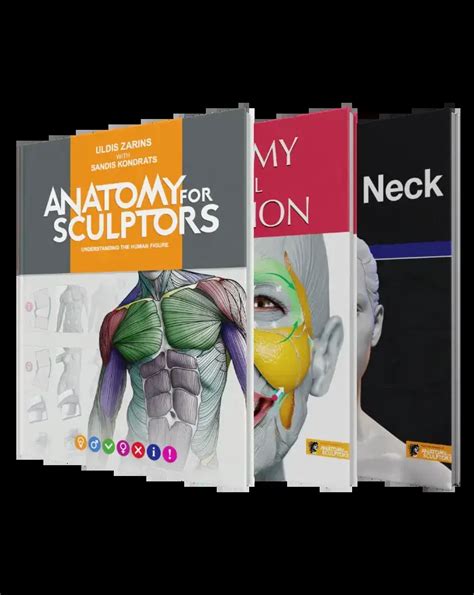 Anatomy For Sculptors | Anatomy Book Series For Artists