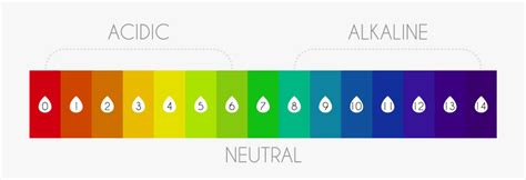 Transparent Ph Scale Clipart - Ph Scale Colors 1 14 , Free Transparent ...