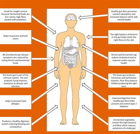 Fermented Foods and Gut Health: Functional Sciatica Clinic