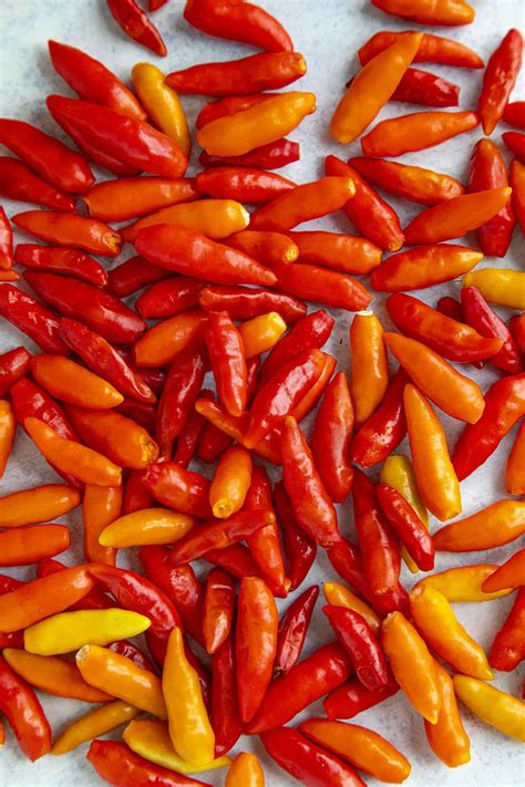 Tabasco Peppers: All About Them - Chili Pepper Madness