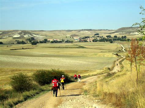 So You Want to Walk the Camino de Santiago | Go Curry Cracker!