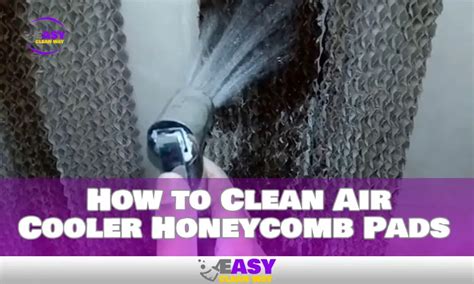 How to Clean Air Cooler Honeycomb Pads Quickly and Easily