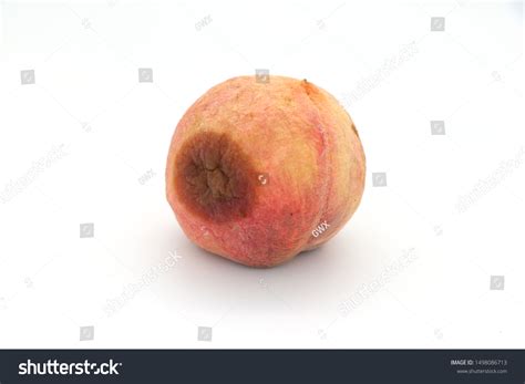 Rotten Peach Isolated On White Backgroundrotten Stock Photo 1498086713 ...