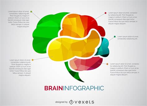 Brain Infographic Vector Download