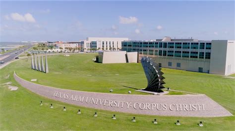 Top 20 Nursing Schools In Texas - Academia Labs