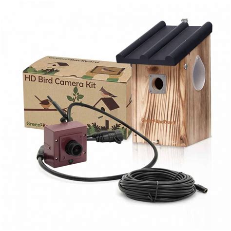 Birdhouse with WiFi Camera - Green Backyard