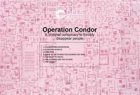 Operation Condor: A criminal conspiracy to forcibly disappear people – CELS