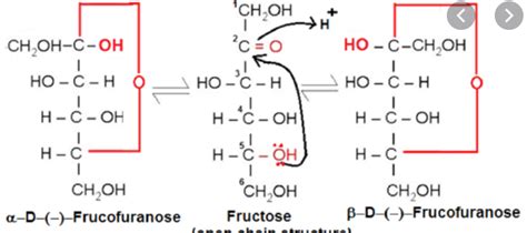 Solved What are the anomers of D-fructose, L-fructose, | Chegg.com