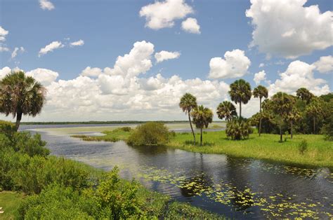 Myakka River State Park - #4 - Economy Tackle Dolphin Paddle Sports