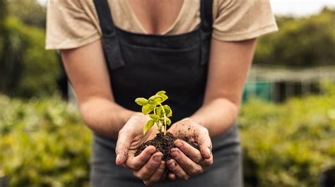 Get Your Garden Ready For Spring With These National Gardening Day ...