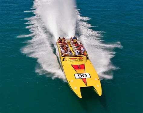 Miami: Sightseeing Speedboat Tour | GetYourGuide