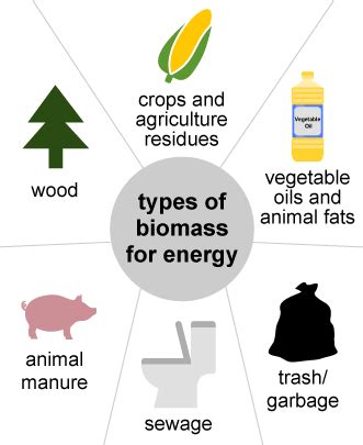 Types Of Energy Sources And Examples - Rwanda 24