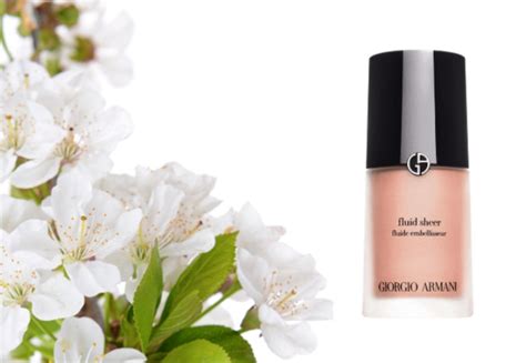 Giorgio Armani Fluid Sheer Dupes - Blocesity